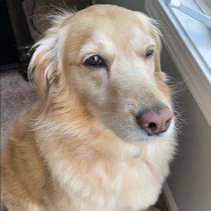 Meet your Posher, Tara